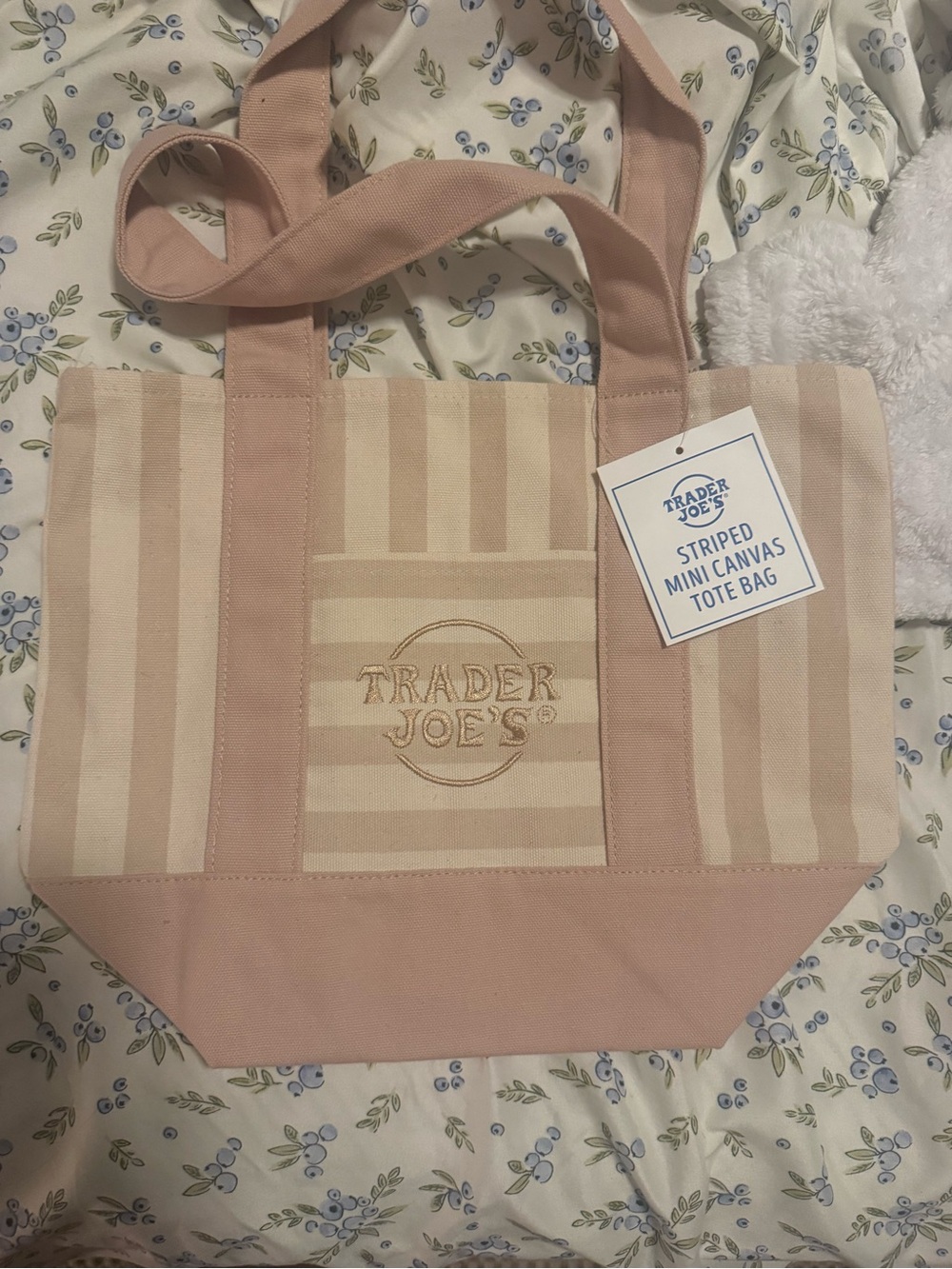 Tan Striped Mini Canvas Tote Bag